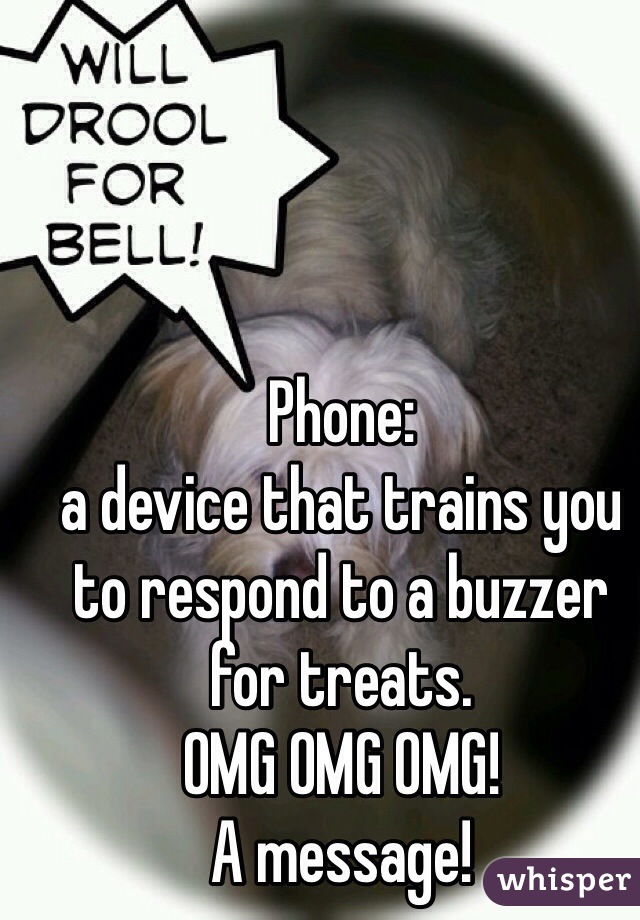 Phone: 
a device that trains you to respond to a buzzer for treats. 
OMG OMG OMG! 
A message!