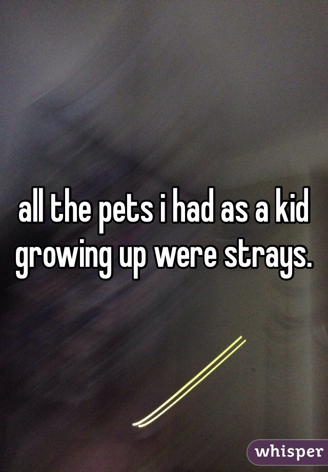 all the pets i had as a kid growing up were strays. 