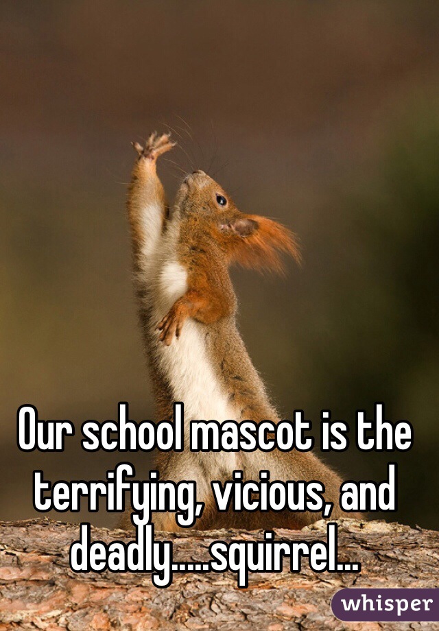 Our school mascot is the terrifying, vicious, and deadly.....squirrel...