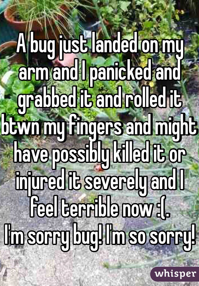 A bug just landed on my arm and I panicked and grabbed it and rolled it btwn my fingers and might have possibly killed it or injured it severely and I feel terrible now :(. 
I'm sorry bug! I'm so sorry! 