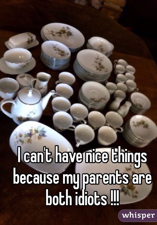 I can't have nice things because my parents are both idiots !!!