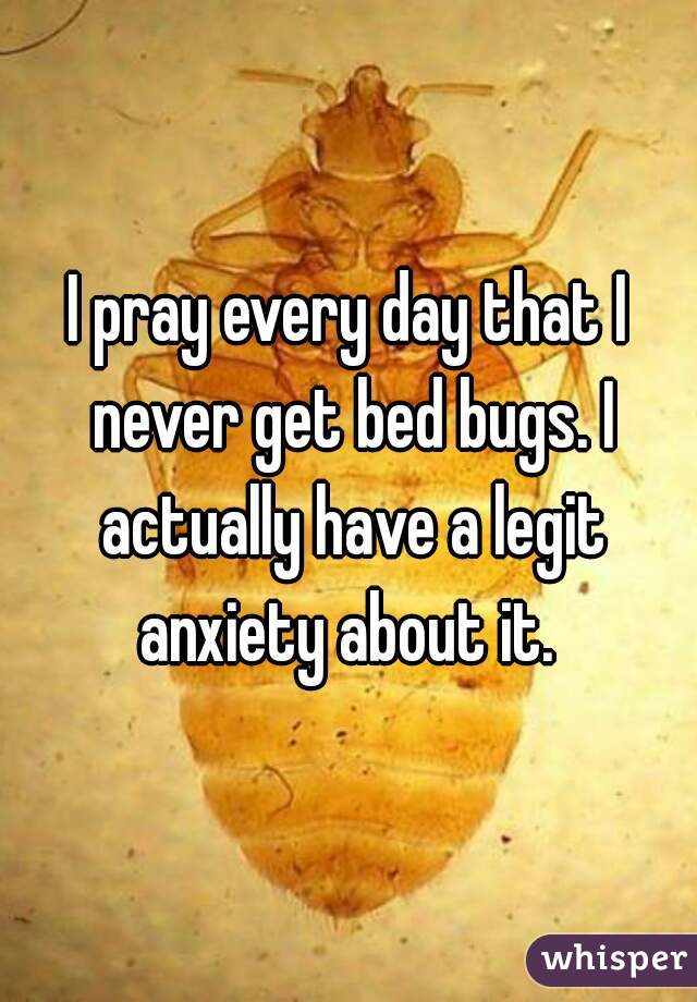 I pray every day that I never get bed bugs. I actually have a legit anxiety about it. 