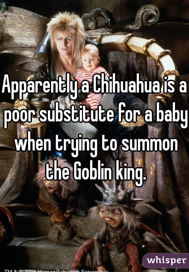 Apparently a Chihuahua is a poor substitute for a baby when trying to summon the Goblin king.