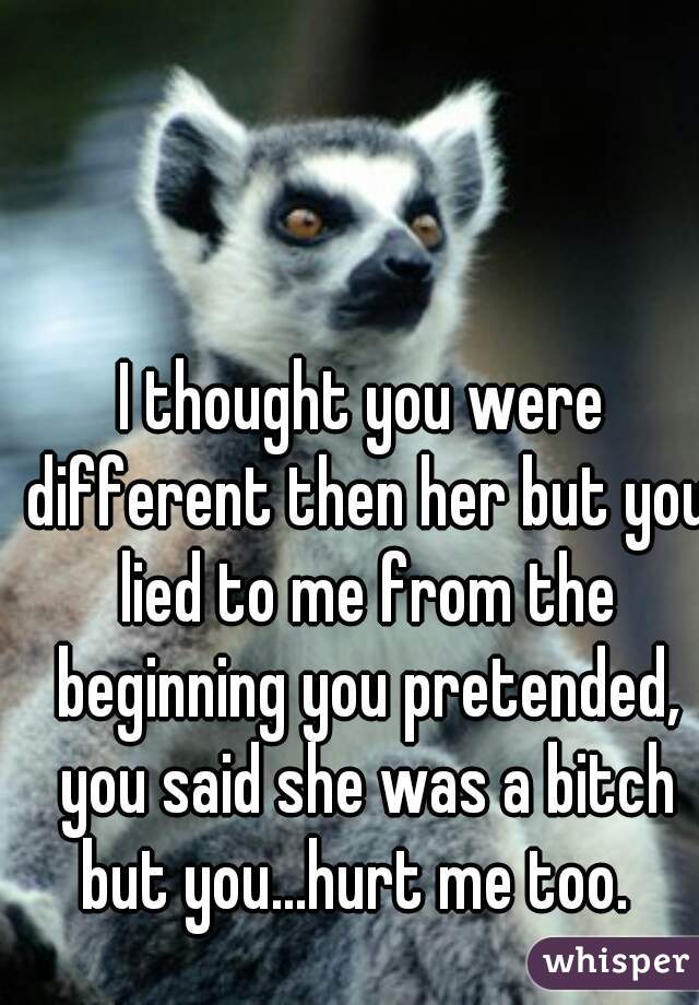 I thought you were different then her but you lied to me from the beginning you pretended, you said she was a bitch but you...hurt me too.  