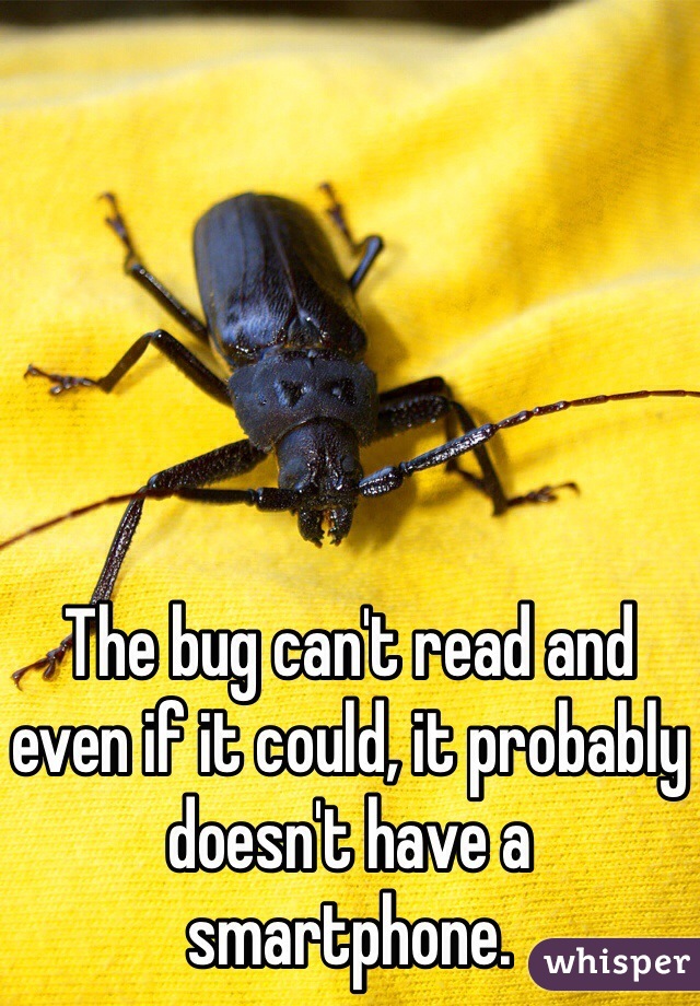 The bug can't read and even if it could, it probably doesn't have a smartphone.