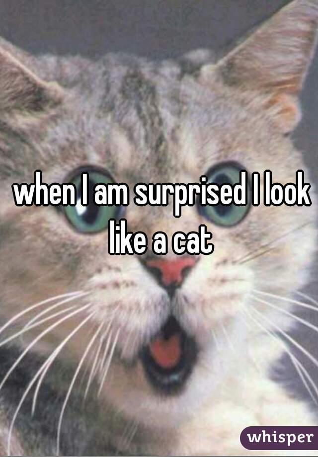  when I am surprised I look like a cat