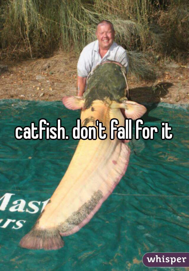 catfish. don't fall for it