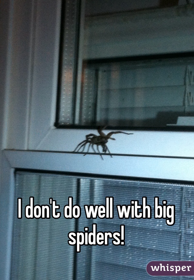 I don't do well with big spiders! 