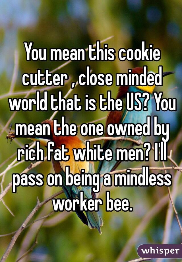 You mean this cookie cutter , close minded world that is the US? You mean the one owned by rich fat white men? I'll pass on being a mindless worker bee. 