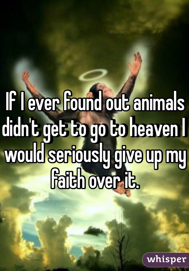 If I ever found out animals didn't get to go to heaven I would seriously give up my faith over it.