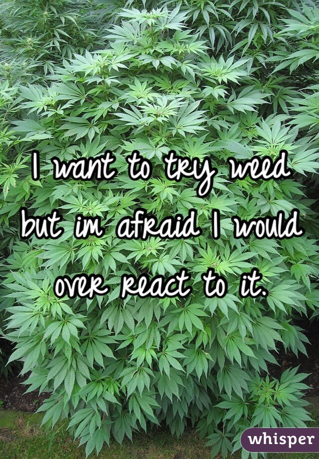 I want to try weed but im afraid I would over react to it.