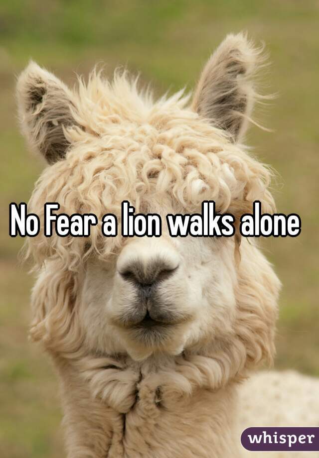 No Fear a lion walks alone 