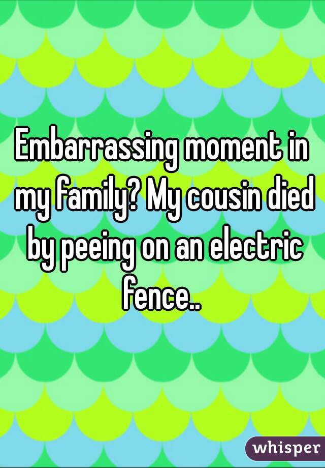 Embarrassing moment in my family? My cousin died by peeing on an electric fence.. 
