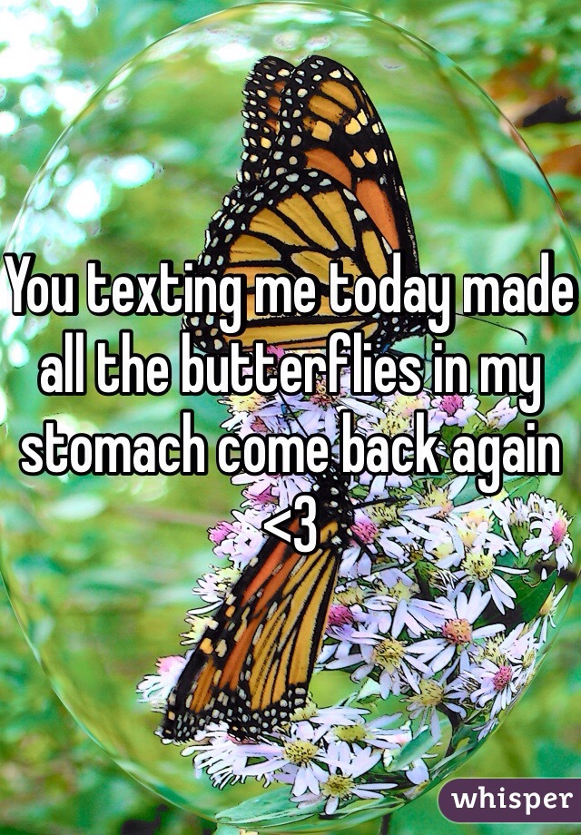 You texting me today made all the butterflies in my stomach come back again <3