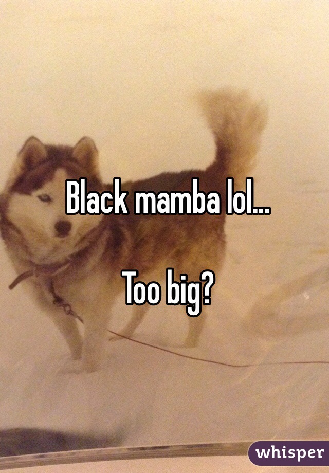 Black mamba lol...

Too big?