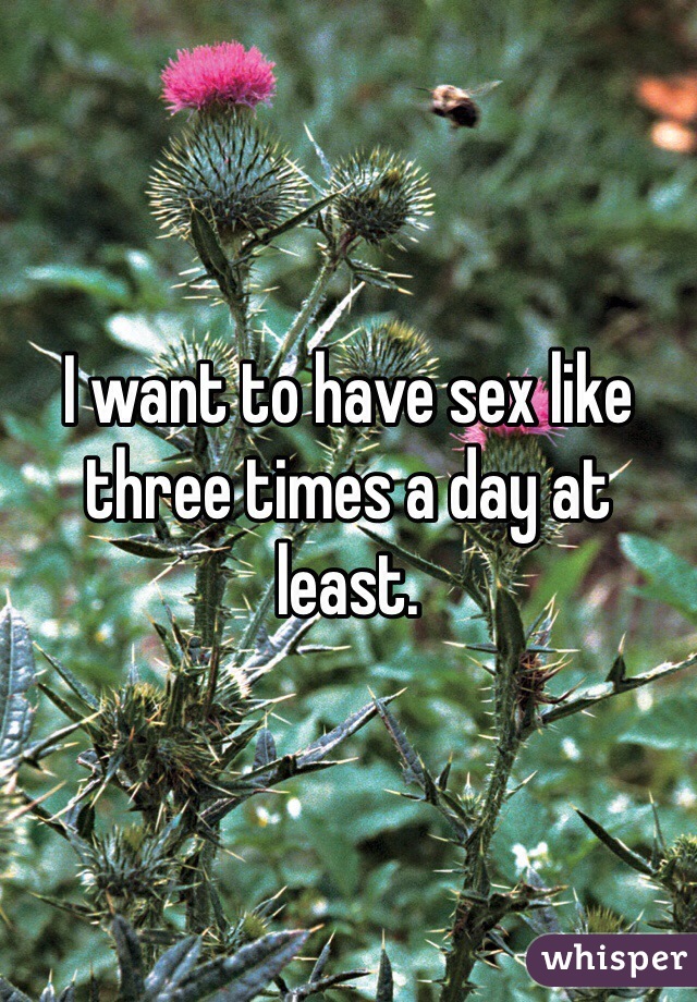 I want to have sex like three times a day at least. 