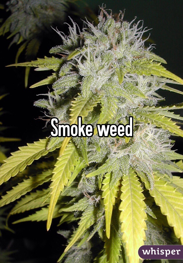 Smoke weed
