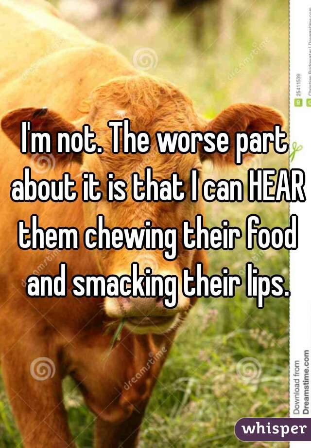 I'm not. The worse part about it is that I can HEAR them chewing their food and smacking their lips.