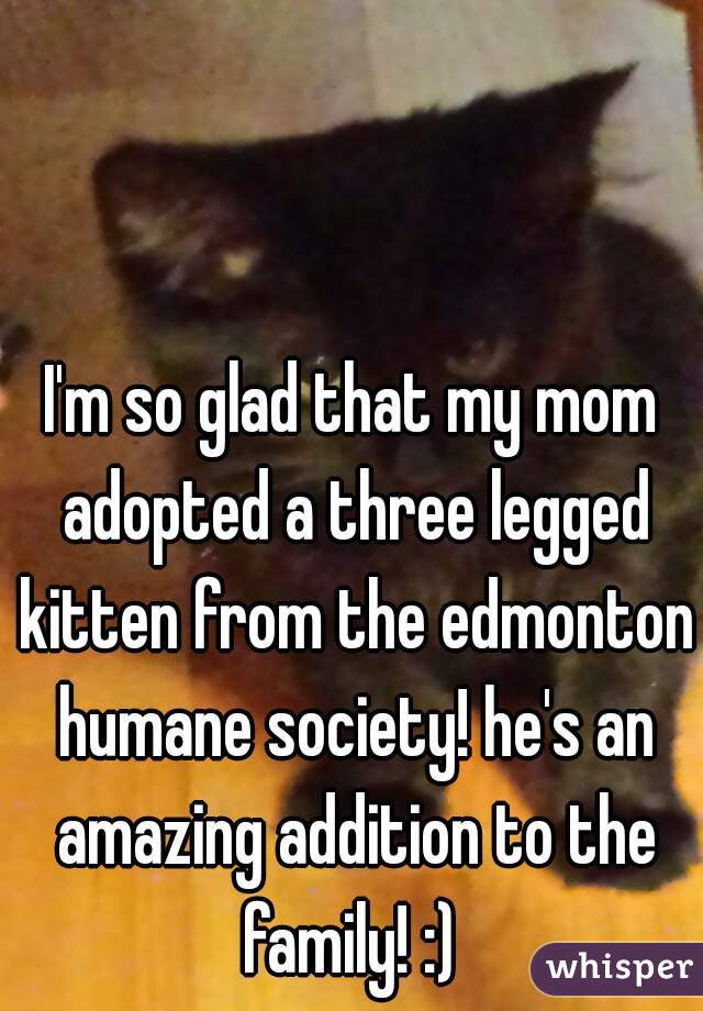 I'm so glad that my mom adopted a three legged kitten from the edmonton humane society! he's an amazing addition to the family! :) 