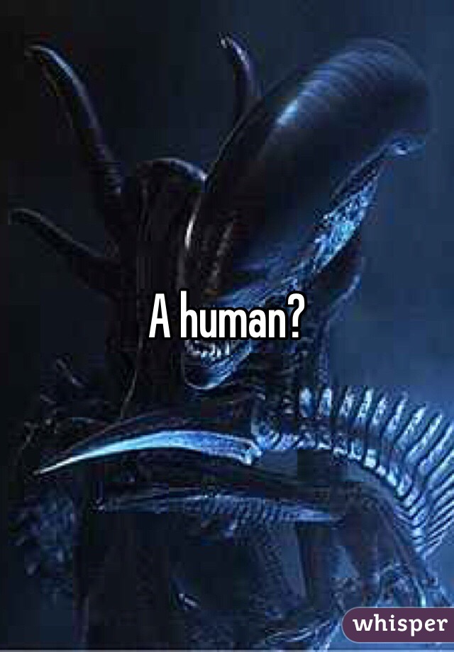 A human?