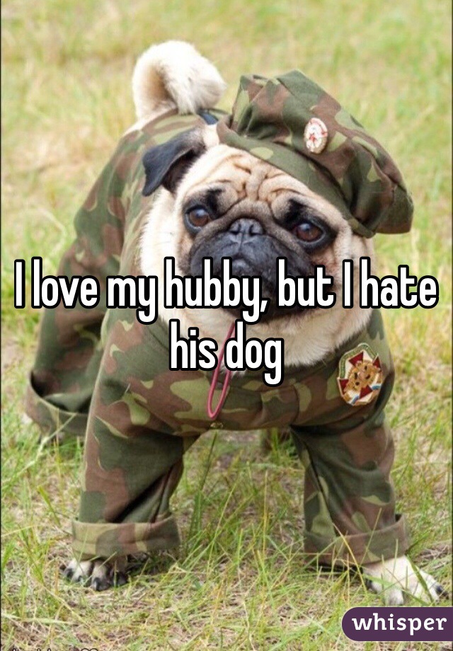I love my hubby, but I hate his dog