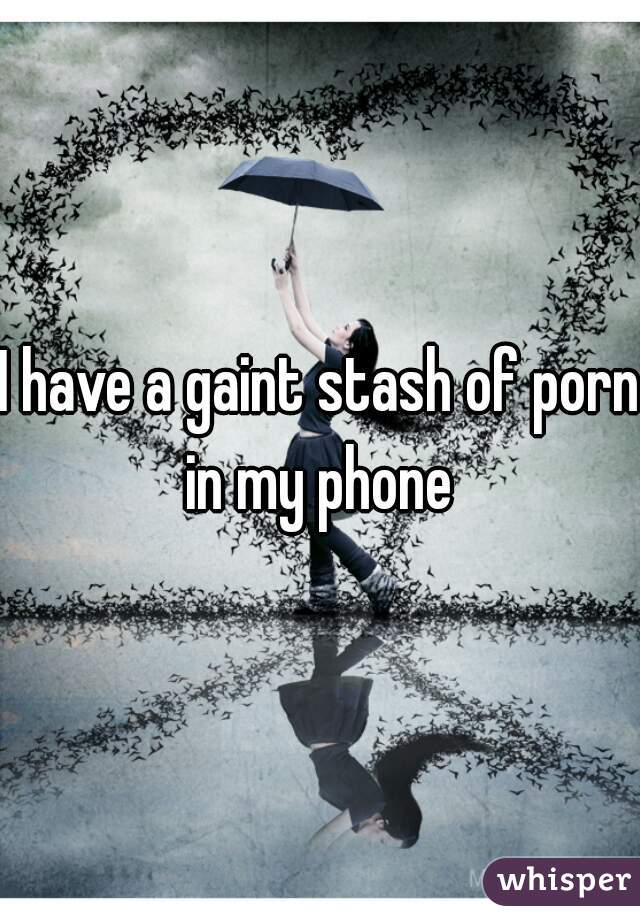 I have a gaint stash of porn in my phone 