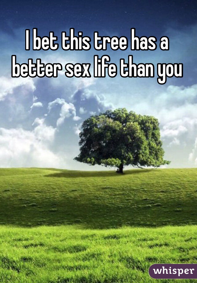 I bet this tree has a better sex life than you