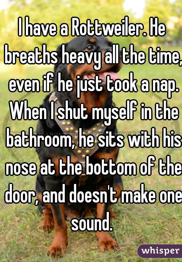 I have a Rottweiler. He breaths heavy all the time, even if he just took a nap. When I shut myself in the bathroom, he sits with his nose at the bottom of the door, and doesn't make one sound. 