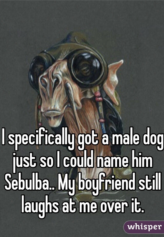 I specifically got a male dog just so I could name him Sebulba.. My boyfriend still laughs at me over it. 