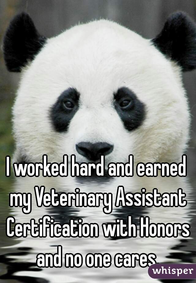 I worked hard and earned my Veterinary Assistant Certification with Honors and no one cares.