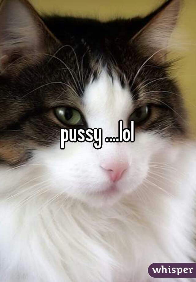pussy ....lol