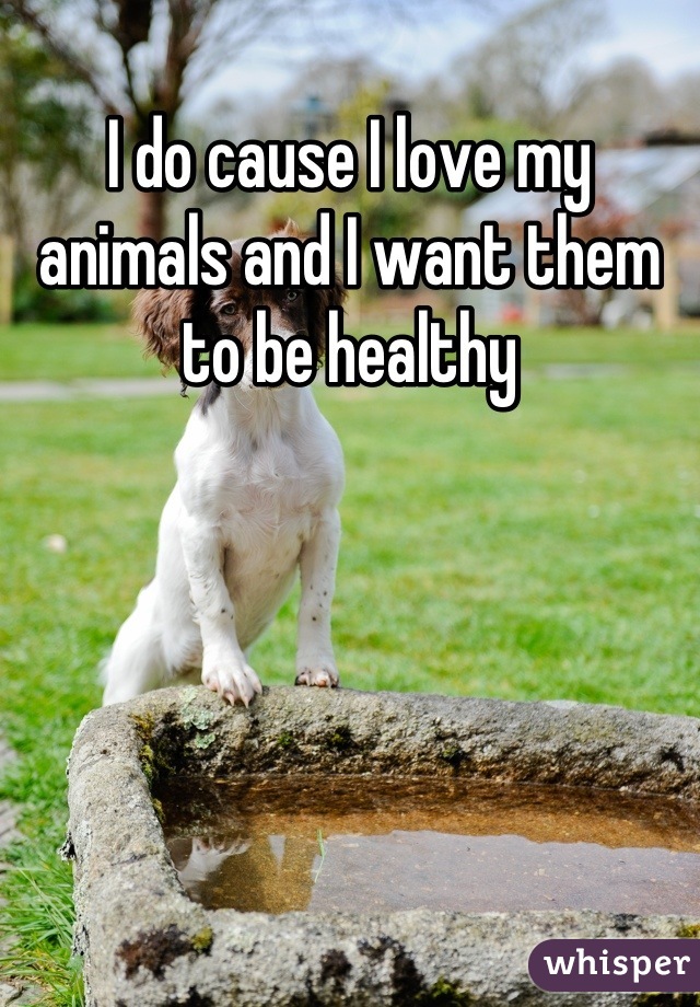 I do cause I love my animals and I want them to be healthy