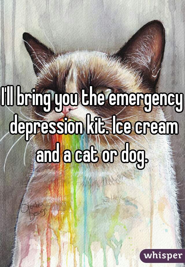 I'll bring you the emergency depression kit. Ice cream and a cat or dog. 