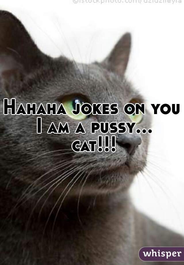 Hahaha jokes on you I am a pussy... cat!!!