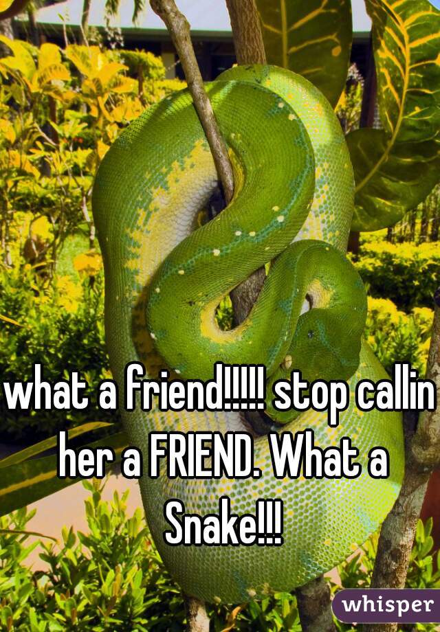 what a friend!!!!! stop callin her a FRIEND. What a Snake!!!