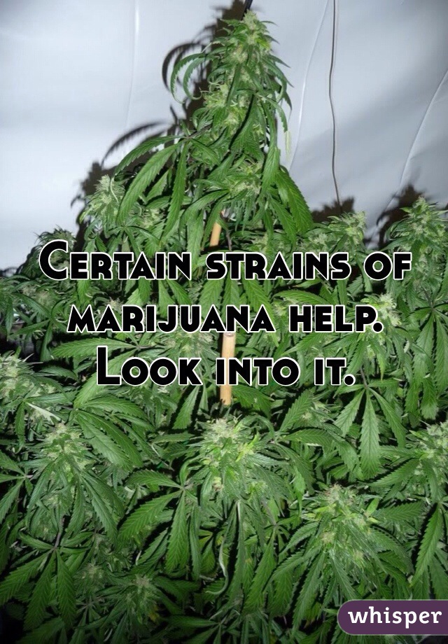 Certain strains of marijuana help. Look into it.
