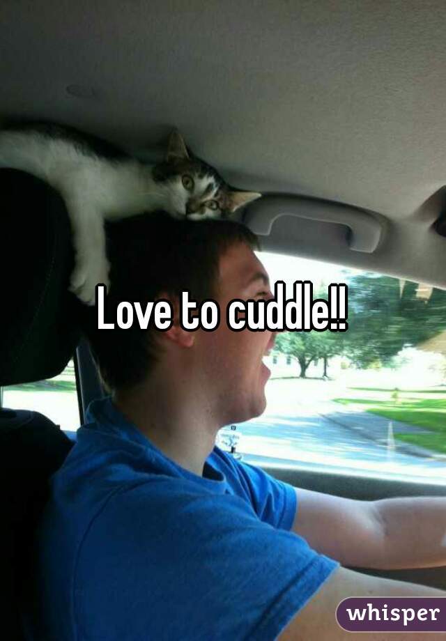 Love to cuddle!!