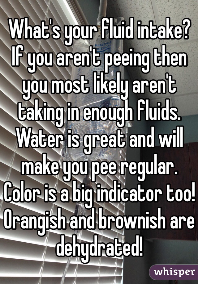 What's your fluid intake? If you aren't peeing then you most likely aren't taking in enough fluids.  Water is great and will make you pee regular.   Color is a big indicator too! Orangish and brownish are dehydrated!