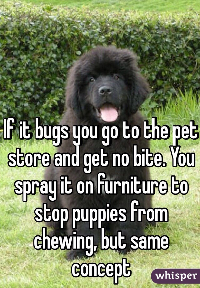 If it bugs you go to the pet store and get no bite. You spray it on furniture to stop puppies from chewing, but same concept