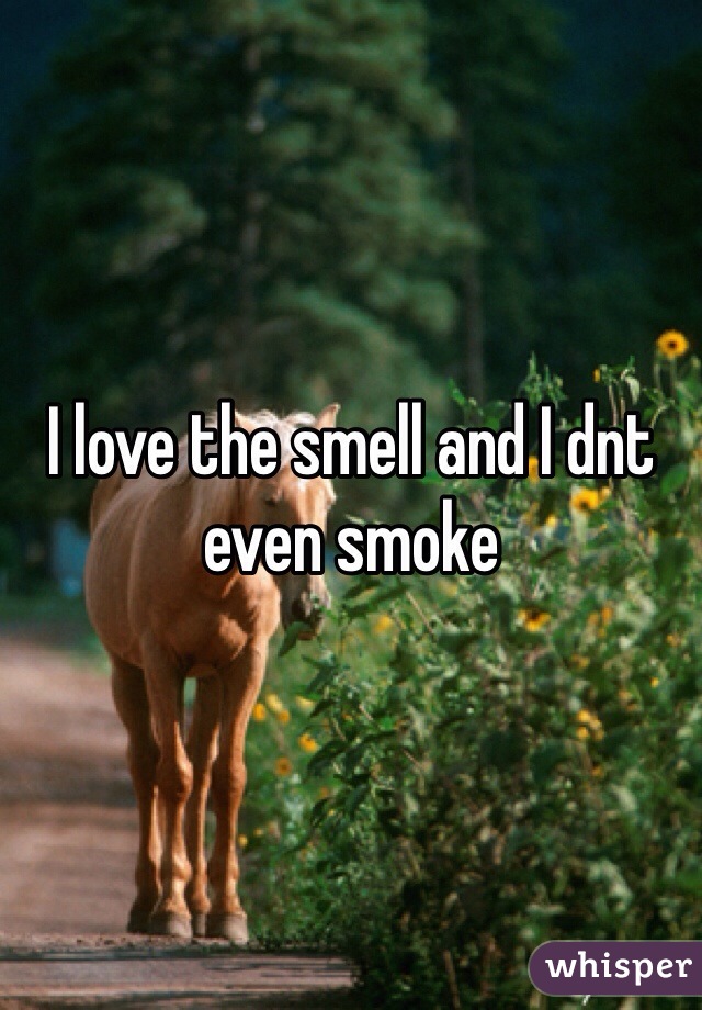 I love the smell and I dnt even smoke