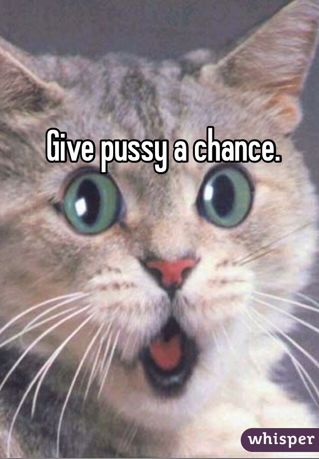 Give pussy a chance. 