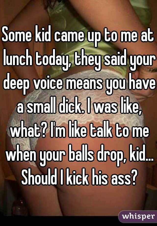 Some kid came up to me at lunch today, they said your deep voice means you have a small dick. I was like, what? I'm like talk to me when your balls drop, kid... Should I kick his ass?