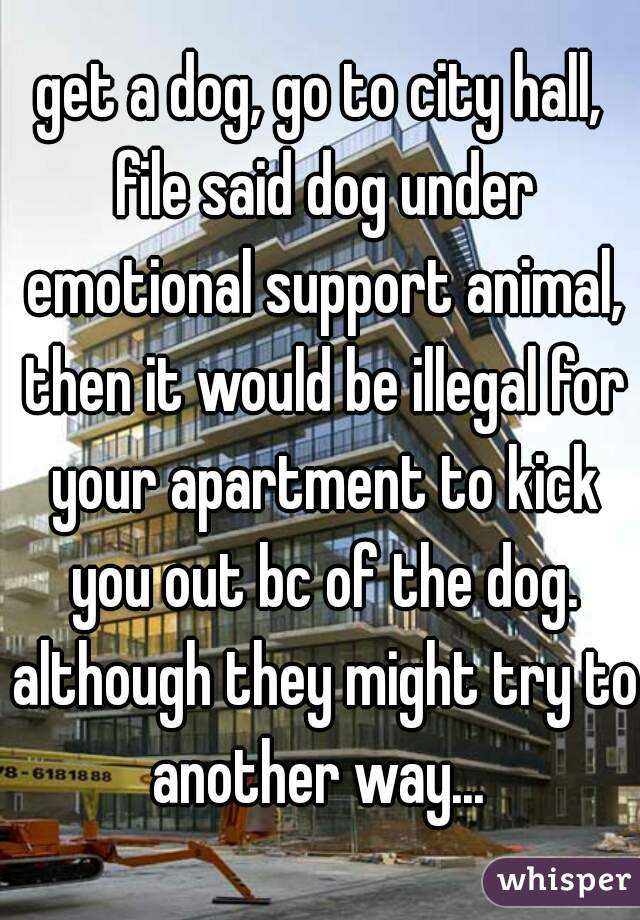 get a dog, go to city hall, file said dog under emotional support animal, then it would be illegal for your apartment to kick you out bc of the dog. although they might try to another way... 