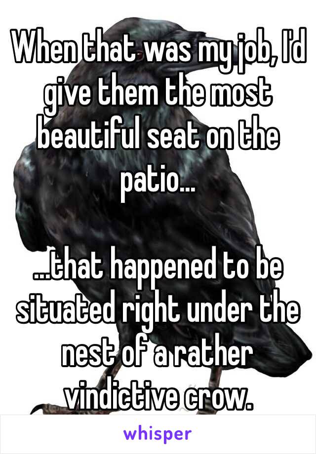 When that was my job, I'd give them the most beautiful seat on the patio...

...that happened to be situated right under the nest of a rather vindictive crow. 