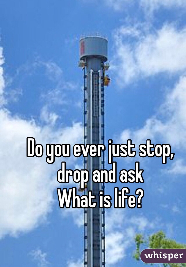Do you ever just stop, drop and ask
What is life?