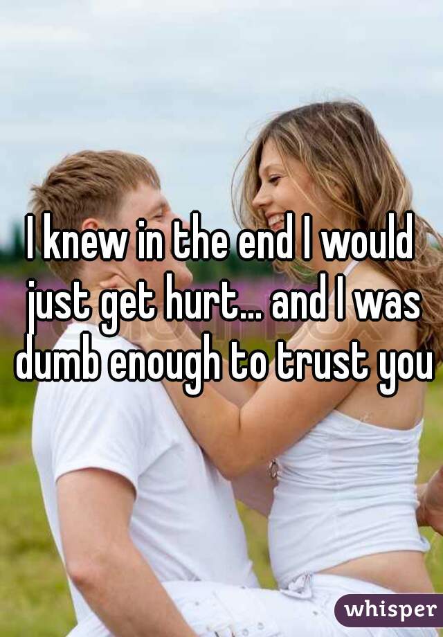 I knew in the end I would just get hurt... and I was dumb enough to trust you