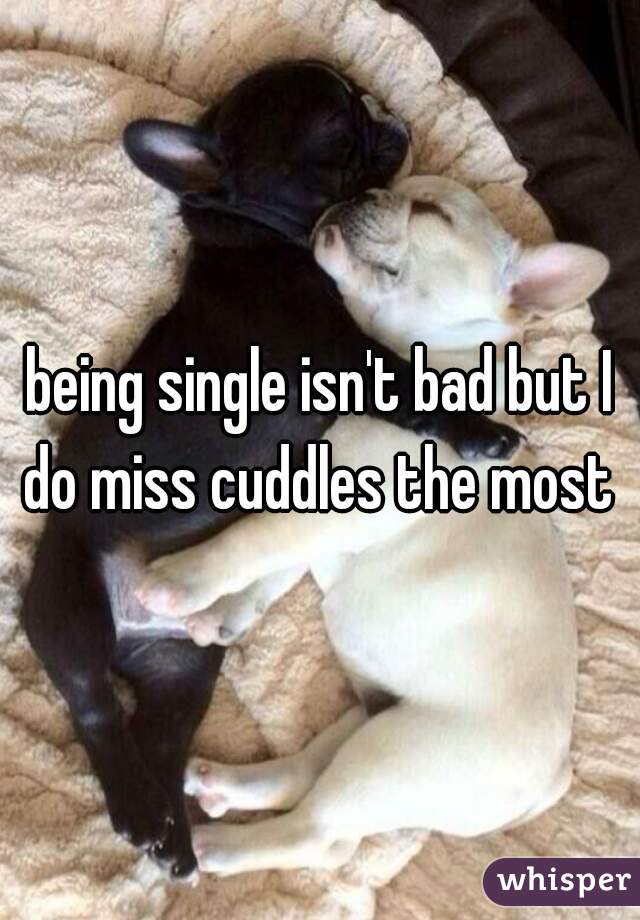 being single isn't bad but I do miss cuddles the most 