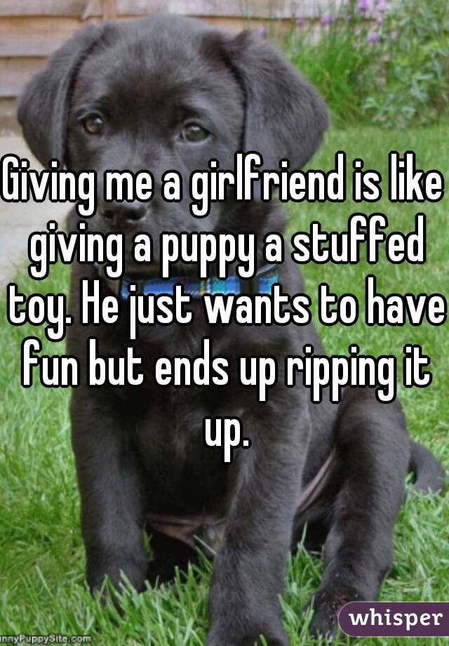 Giving me a girlfriend is like giving a puppy a stuffed toy. He just wants to have fun but ends up ripping it up.