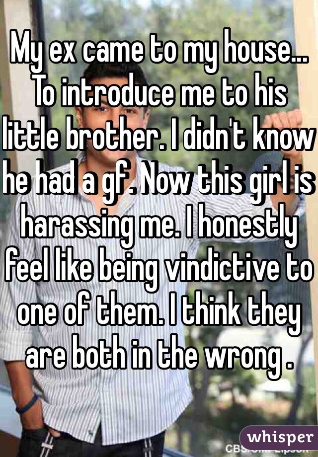 My ex came to my house... To introduce me to his little brother. I didn't know he had a gf. Now this girl is harassing me. I honestly feel like being vindictive to one of them. I think they are both in the wrong . 