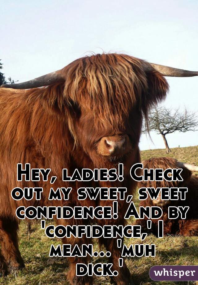 Hey, ladies! Check out my sweet, sweet  confidence! And by 'confidence,' I mean... 'muh dick.' 